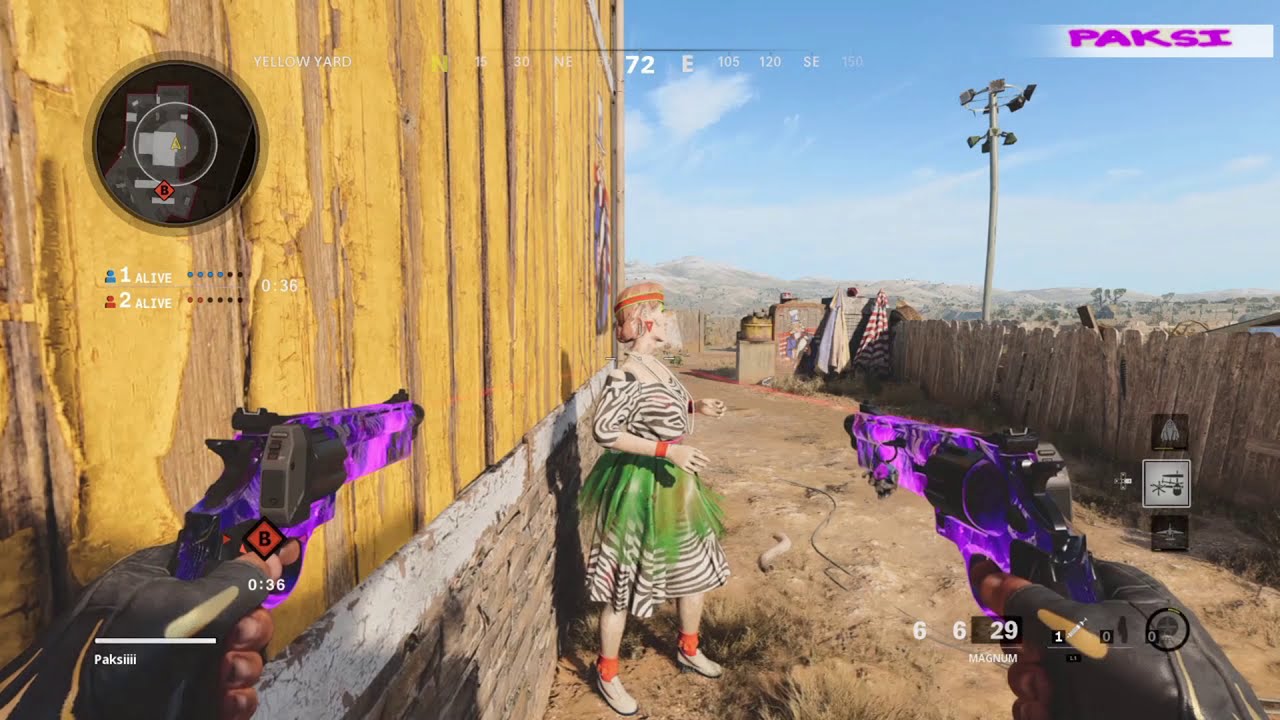 Search and destroy clips