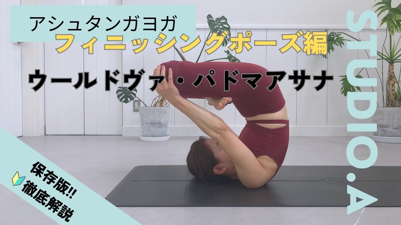 【初心者でも安心🔰】ウールドヴァ・パドマアサナ #アシュタンガヨガ #ヨガ #解説