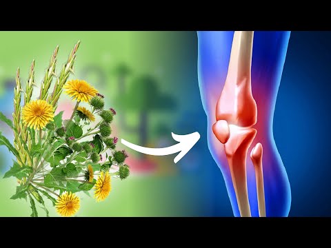 These herbs are 5 times better than chemistry for joints. This medicine is in every garden!