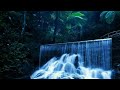 Suara Burung Dan Gemericik Air Untuk Terapi Semua Jenis Burung Macet Bunyi Mp3 - Mp4 Download