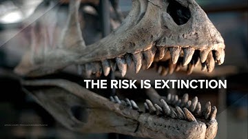 Enabling digital transformation via the Red Hat management portfolio