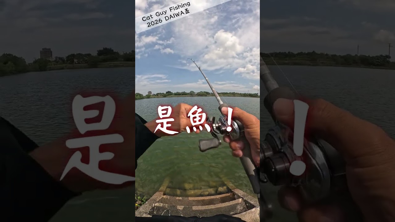 2026 DAIWA路亞盃 第六名紀錄片段 #daiwa #路亞 #比賽 #fishing #lurefishing #黑鱸 #大嘴鱸魚 #市外桃源 #largemouthbass
