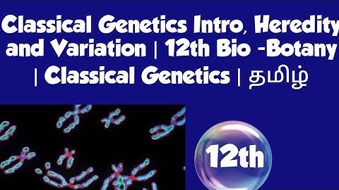 Classical Genetics Intro, Heredity and Variation | 12th Bio -Botany | Classical Genetics | தமிழ்