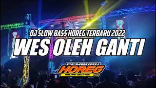 DJ WES OLEH GANTI SLOW BASS HOREG