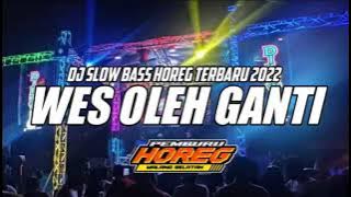 DJ WES OLEH GANTI SLOW BASS HOREG