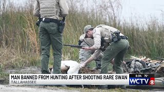 Tallahassee hunter who shot rare swan gives up hunting license for life
