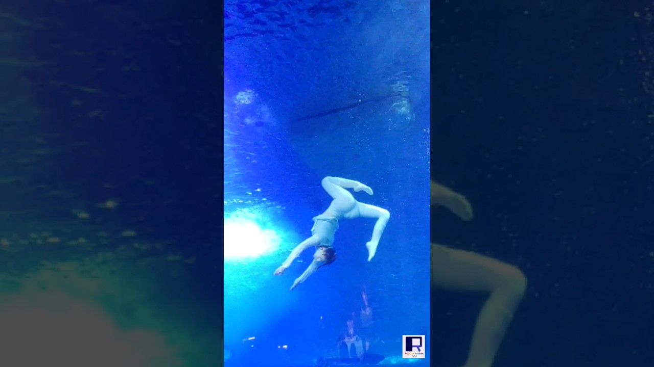 A graceful time traveler! |Beautiful underwater dancer | aquarium |Children love watching series