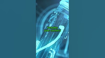 🌍 WordPress Runs the Web