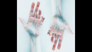 WIKIPEDIA EDUCATIONAL VIDEO | How Nitric Oxide Effects the Body, Blood Flow & Cardiovascular Health!