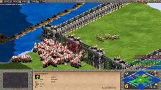 Age of Empires II CBA HERO #05