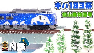 【N鉄】Tomix キハ183系特急ディーゼルカー（旭山動物園号） | Nゲージ鉄道模型走行動画 | rios circle