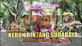 Update Terkini Kebun Binatang Surabaya || Wisata Taman Satwa Murah Meriah