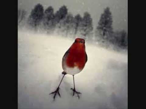 Watch Aki Bergen - Dont Call Me Artist on YouTube