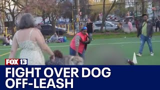 Offleash dog sparks violent brawl at Seattle's Cal Anderson Park | FOX 13 Seattle