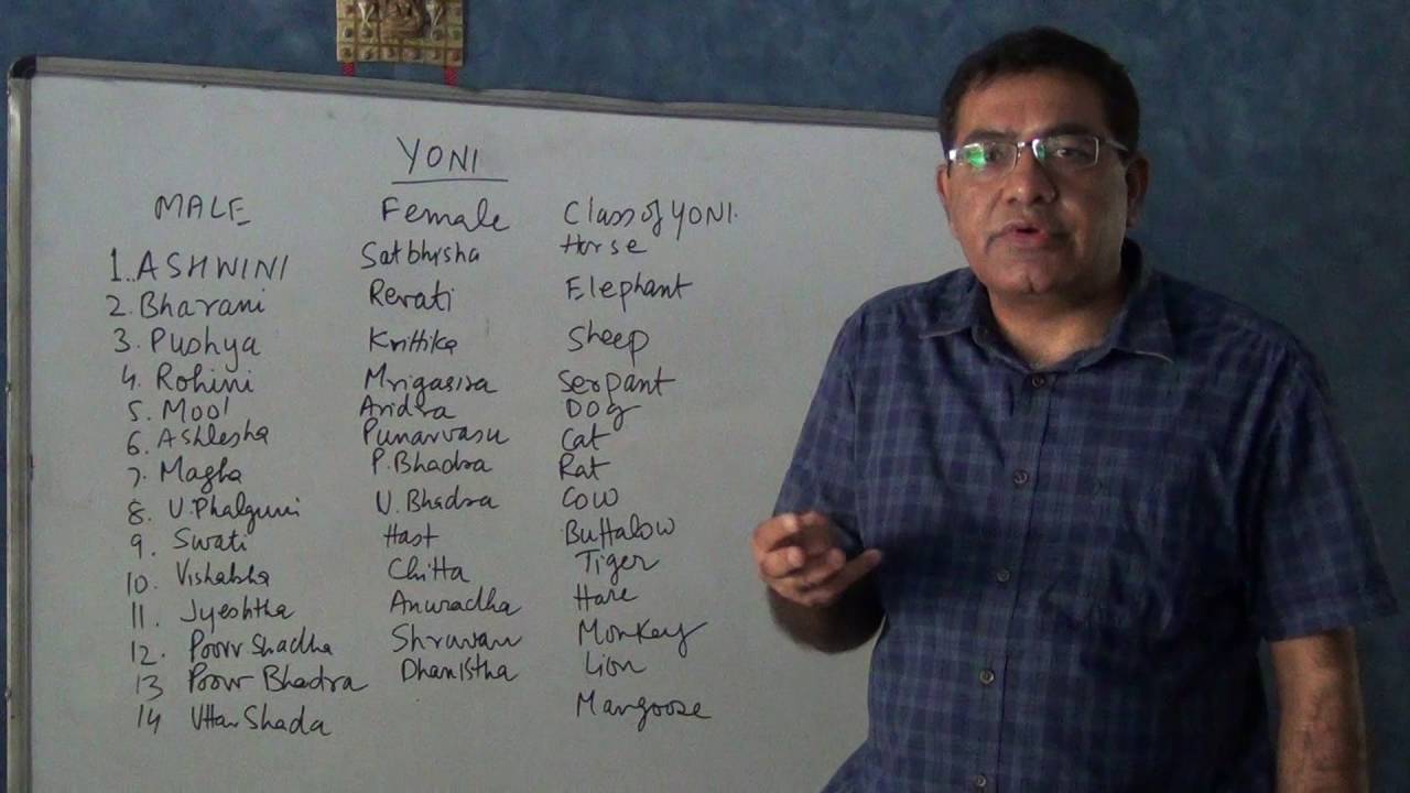 Yoni Kut or Yoni Milan - Horoscope Matching ( English) - YouTube