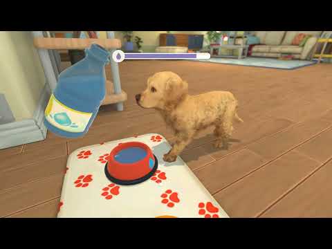 My Universe - Puppies u0026 Kittens (2022)
