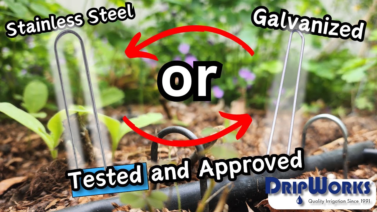 Stainless Steel vs. Galvanized Garden Staples | Which One Lasts Longer?
