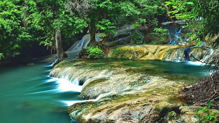 8 Hours of The Best Relaxing Piano - Beautiful Music, Birds Singing, Water Sounds -Sleep, Meditation