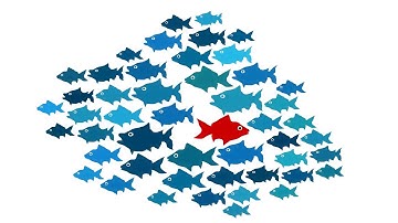 Cybersecurity Data Science #19. Kdd cup dataset