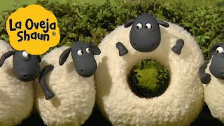 La Oveja Shaun  Ovejas y cabras  Dibujos animados para niños