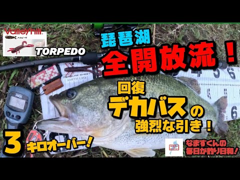なまずくんの毎日が釣り日和! - YouTube