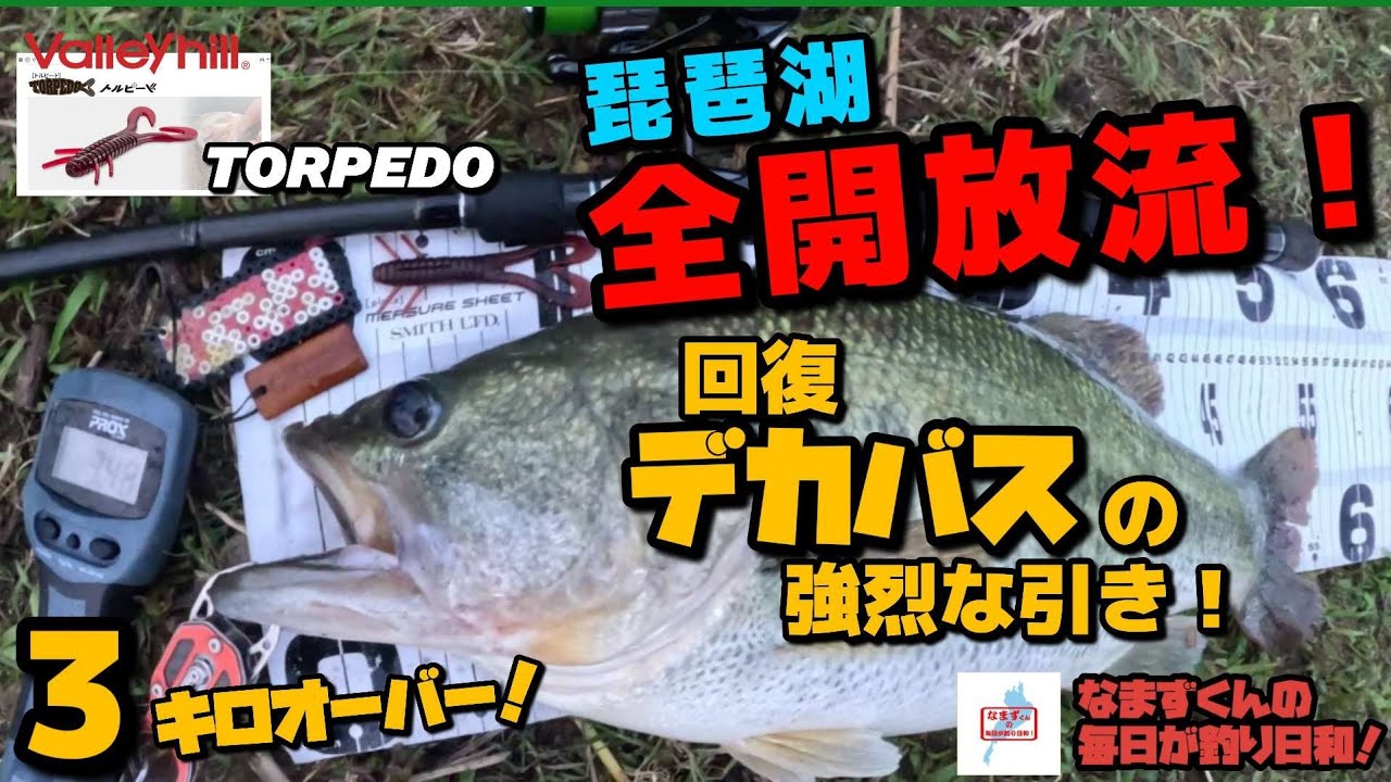 2026「琵琶湖 全開放流！｣ 56+53cm回復デカバス強烈な引き！ スピニングヘビキャロ！ (なまずくんの毎日が釣り日和！)