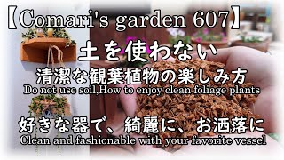 【機能的商品紹介】SUB)土を使わないから汚れない‼️可愛い瓶でもバスケットでもOK