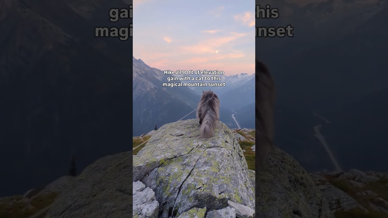 Cat takes you on a hike up the Canadian Rockies 