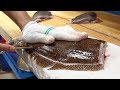 Flatfish Sashimi, Sliced RAW Flatfish (Gwangeohoe) - Korean Street Food