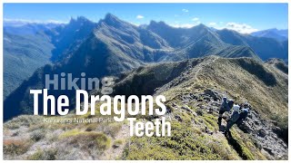 The Dragons Teeth, Kahurangi. New Zealand