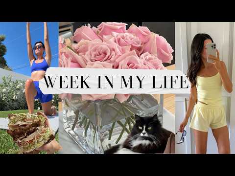 DAYS IN MY LIFE: aritzia order, pilates event, trader joes & costco, flower arrangements
