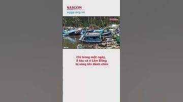 Chỉ trong một ngày, 8 tàu cá ở Lâm Đồng bị sóng lớn đánh chìm
