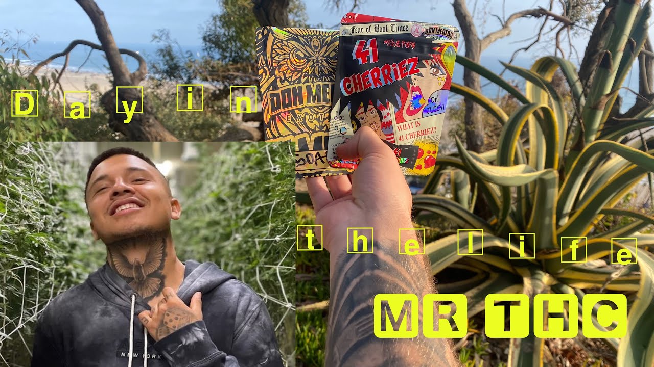 Day in the Life with Mr THC 😱