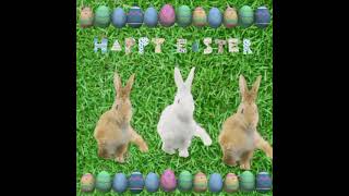 happy easter - thefatrat - time lapse. dancing rabbits