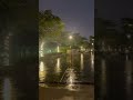 #비오는푸미흥#우기#장마#호치민날씨