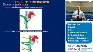Cardiopulmonary Bypass: Circuit Components