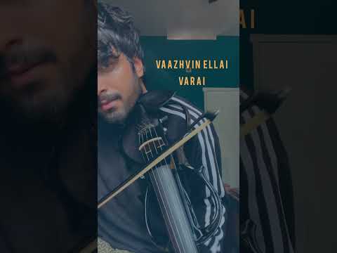 Snehithane Violin Cover Amal Varghese Violin Music Violin Violinmusic Love Coversong