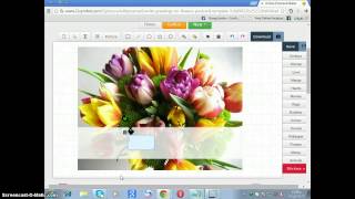 كيف اكتب تهنئه على الصوره screenshot 3