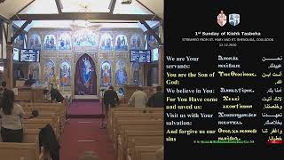 St Mary & St Shenouda's Coptic Orthodox Church Tasbeha Live Steam (12/12/2020)