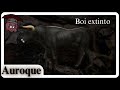 AUROQUE: as VACAS SELVAGENS do PLEISTOCENO