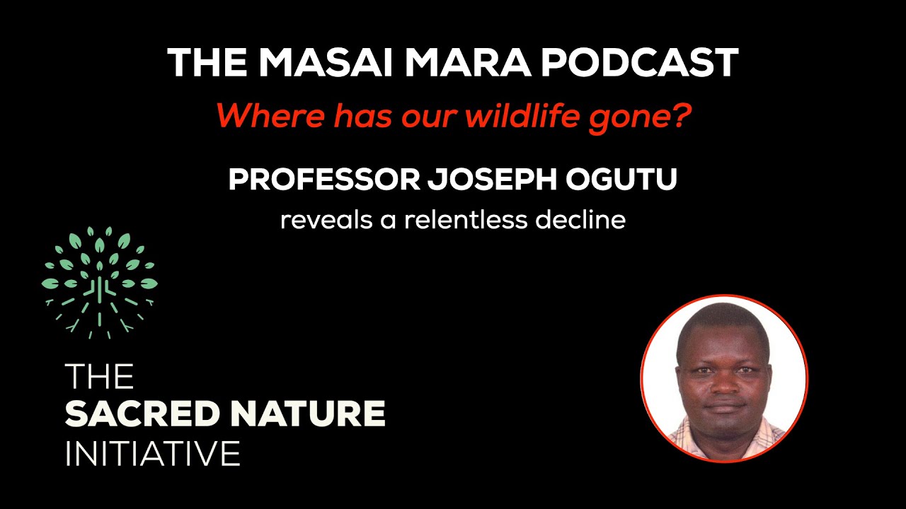 Terminal decline? What do the numbers say?