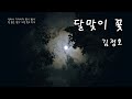 달맞이꽃 김정호