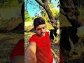 I miss you 😫🐄 #diaryfarming #minivlog #shortvideo #cow