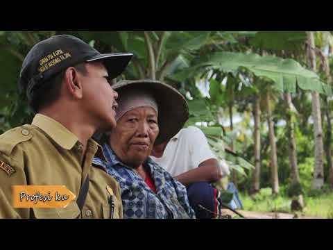 Video: Pertanian Sebagai Profesion