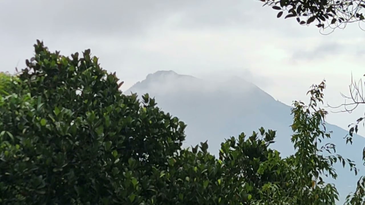 Bali island. Want to listen to the sounds of nature in the morning in Kintamani?