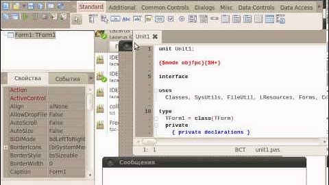 Установка Lazarus на Linux 1
