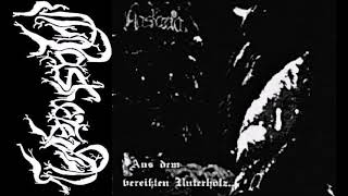 Download Lagu Aaskereia [GER] [Raw Black] 1999 - Aus dem vereißten Unterholz... (Full Demo) MP3
