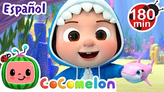 Bebé tiburón | Canciones Infantiles | Caricaturas para bebes | CoComelon en Español