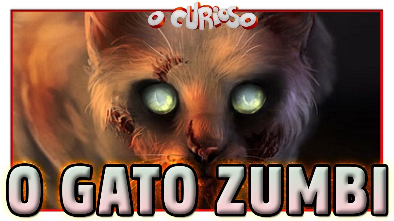 O GATO QUE VIROU ZUMBI! 🧟‍♂️🐱 