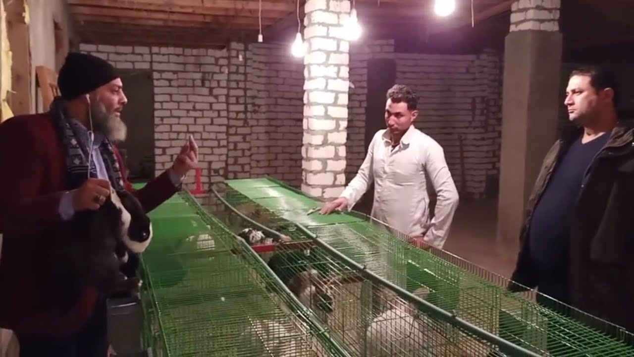 اتعلم ازاي تاسس مزرعه افتتاح مزرعه ارانب الخير بالاسماعيليه